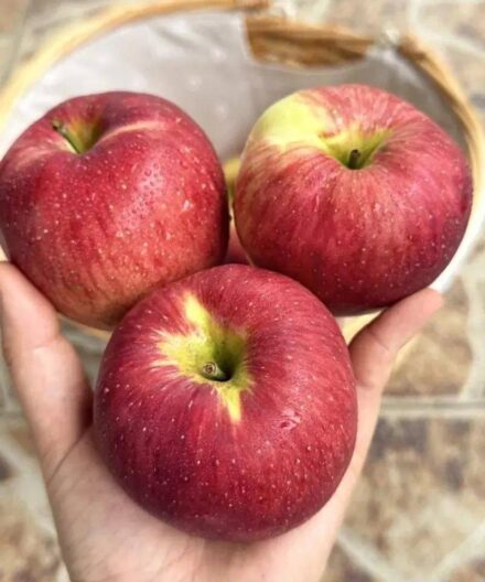 Doctors Reveals That Eating Apples Causes