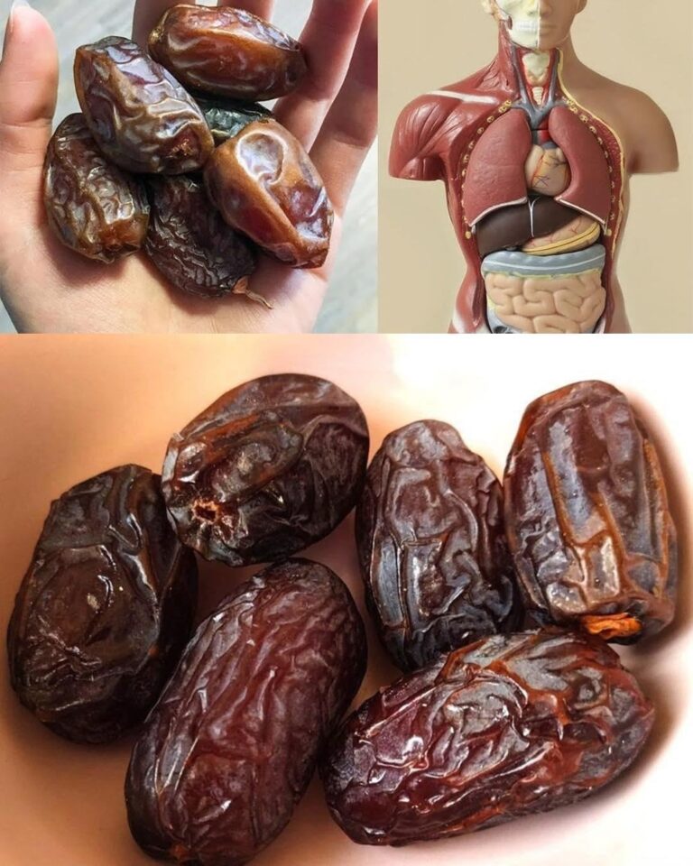 The Incredible Benefits of Dates: A Nutrient-Packed Superfood