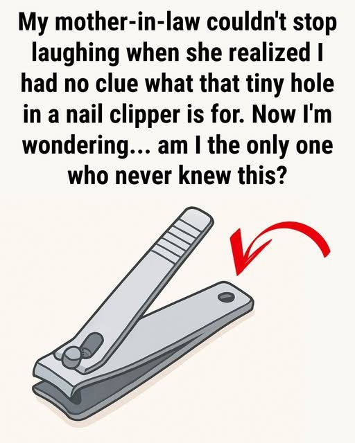 The Hidden Power of the Tiny Hole on Your Nail Clipper That Almost Everyone Ignores
