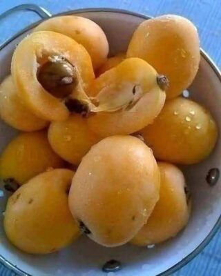 Mermelada tradicional de albaricoque (mishmish): verano en conserva en tarro