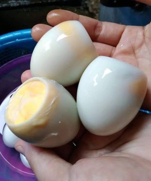 What Happens If You Accidentally Eat a Spoiled Egg? Doctors Explain the Risks, Symptoms & Exactly What to Do