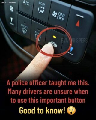 The Dashboard Button Most Drivers Ignore—And Why It Actually Matters