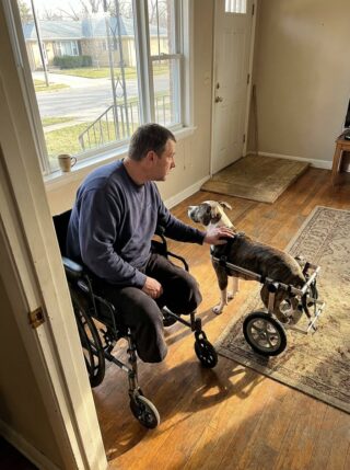My Husband Hadn’t Left the House in 14 Months After Losing Both Legs. So I Brought Home a Pit Bull Who’d Lost Hers Too — and Couldn’t Go to the Bathroom Without Someone Pushing Her Outside.