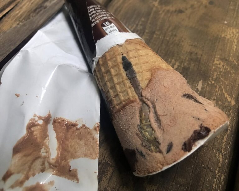 A Mother’s Nightmare: The Chilling Discovery Inside a Favorite After-School Treat