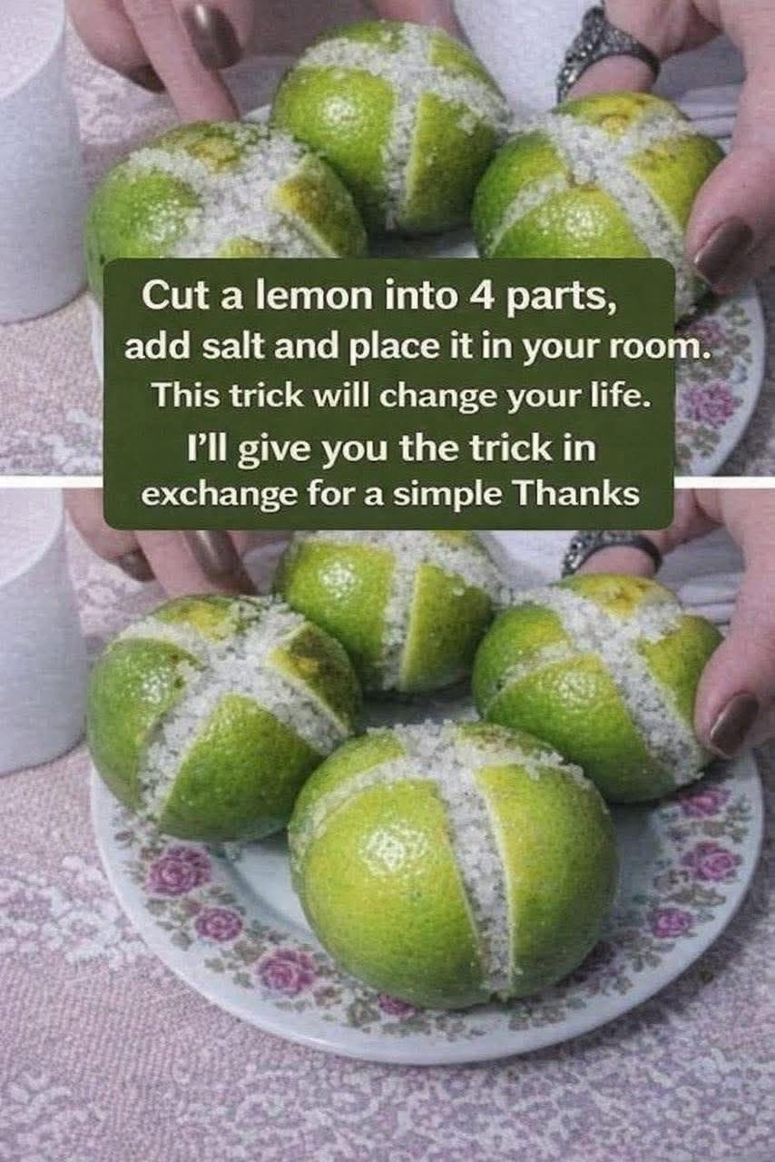 The Salted Lemon Air Purifier