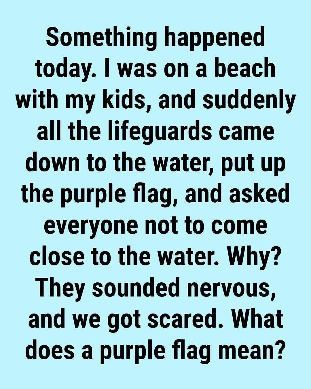 What Does the Purple Beach Flag Mean? The Hidden Ocean Warning Most Swimmers Ignore